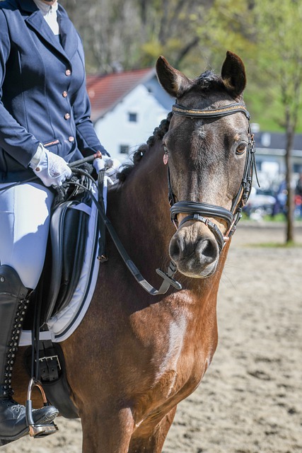巴西男篮打出团队篮球