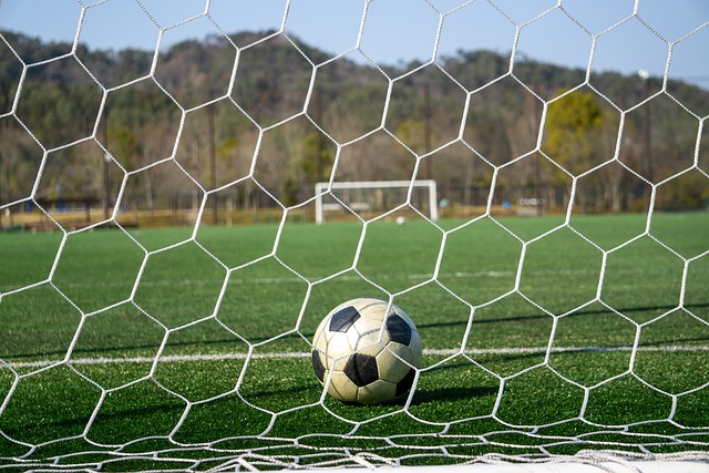 斯基拉：伊万-尤里奇已经被亚特兰大解雇