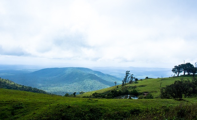 队史巴甲第9冠，弗拉门戈提前一轮夺得巴甲联赛冠军