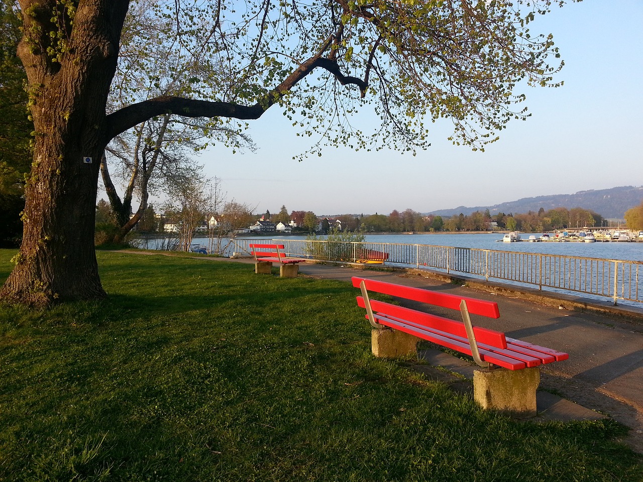 荷兰队官方：韦格霍斯特身体状态不佳退出集训，不会出战波兰